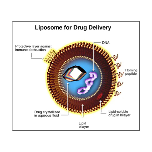 Diagrama de tecnología Cyclosome en Halotestin