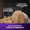 Beneficios principales de MuscleTech Mass Tech Extreme 2000