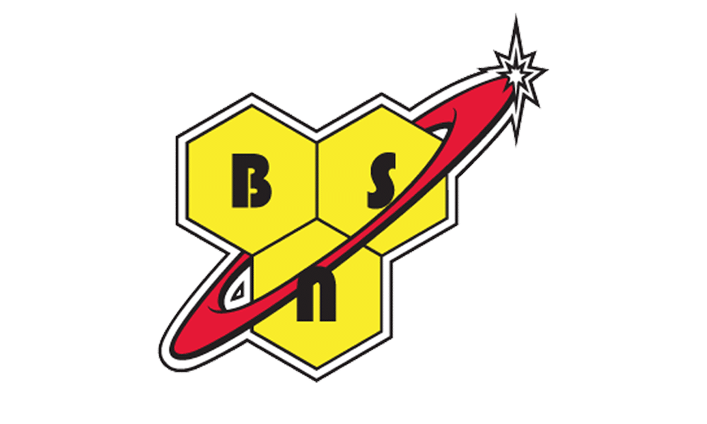 Logo de BSN
