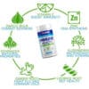 USN Immune Health 60 caps
