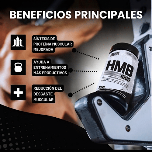 beneficios hmb recuperacion muscular