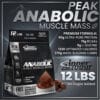 Inner Armour Anabolic Peak 12 Lb El Ganador de Masa de Absorción Trifásica