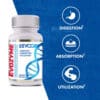 Gráfico de asimilación de proteínas y nutrientes optimizada por Evogen Evozyme