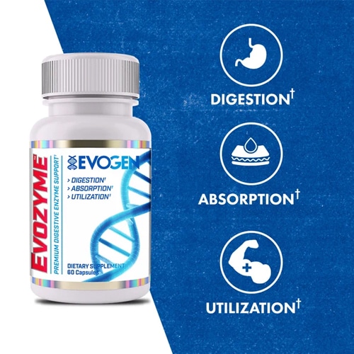 Gráfico de asimilación de proteínas y nutrientes optimizada por Evogen Evozyme